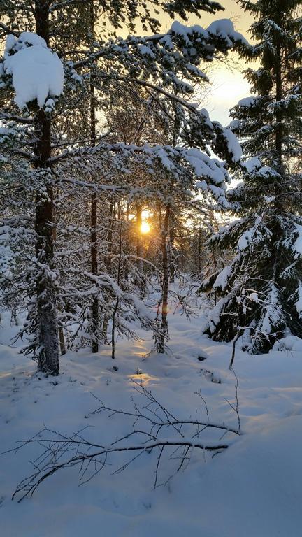 Valkojan Naturby - Timber Cottages แวมดาเลน ภายนอก รูปภาพ